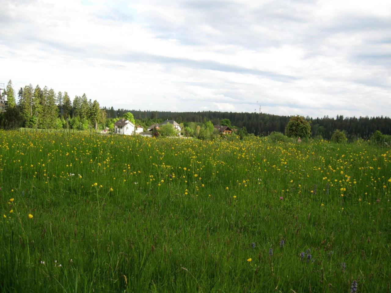 Haus Schoenblick Kniebis Eksteriør bilde